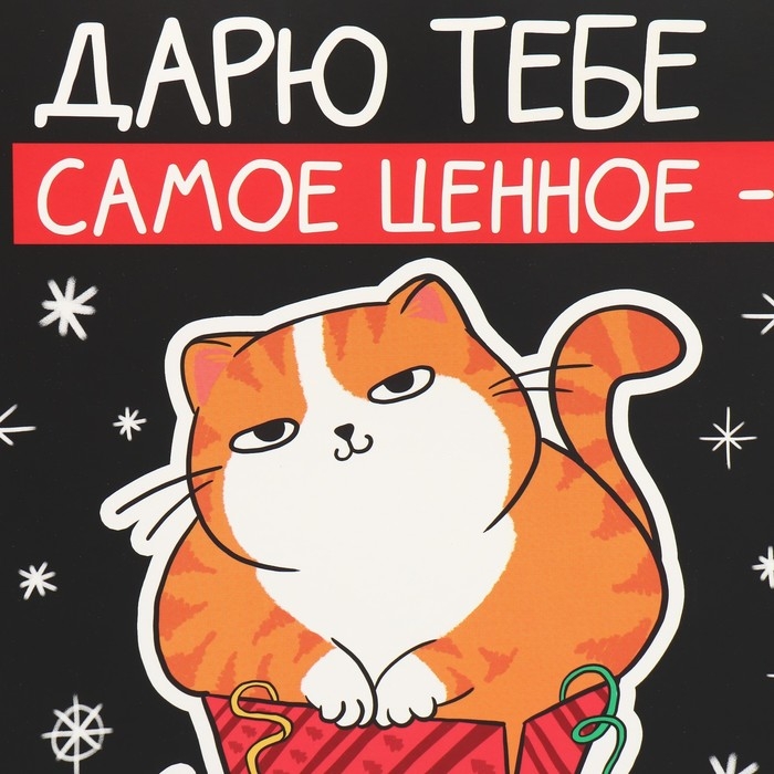 Коробка подарочная новогодняя складная «Дарю тебе самое ценное - себя», 22 х 30 х 10 см Коробка подарочная новогодняя складная «Дарю тебе самое ценное - себя», 22 х 30 х 10 см