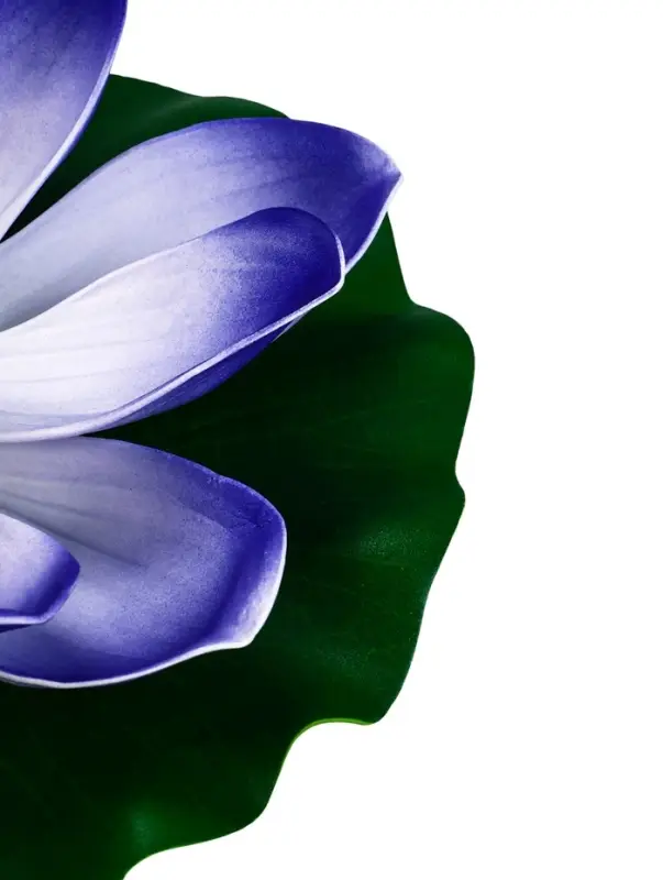 Садовый светильник для водоемов 28 х 28 х 9 см на солнечной бат-е Садовый светильник для водоемов 28 х 28 х 9 см на солнечной бат-е "Лотос" фиол-ый N010