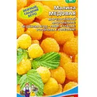 Семена Малина &laquo;Медовая&raquo; 10 шт.