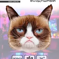 Воздушный шар фольгированный 26" &laquo;Сердитая кошка&raquo;