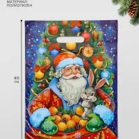 Пакет &laquo;Ушастый гость&raquo; полиэтиленовый с вырубной ручкой, 30&times;40 см, 35 мкм