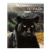 Тетрадь 48 листов в клетку, Calligrata «Дикие кошки», обложка мелованная бумага, МИКС Тетрадь 48 листов в клетку, Calligrata «Дикие кошки», обложка мелованная бумага, МИКС