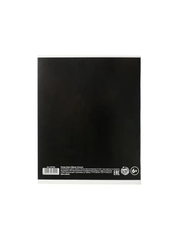 Тетрадь предметная 48 листов в линейку Calligrata &laquo;3D. Литература&raquo;, серые листы