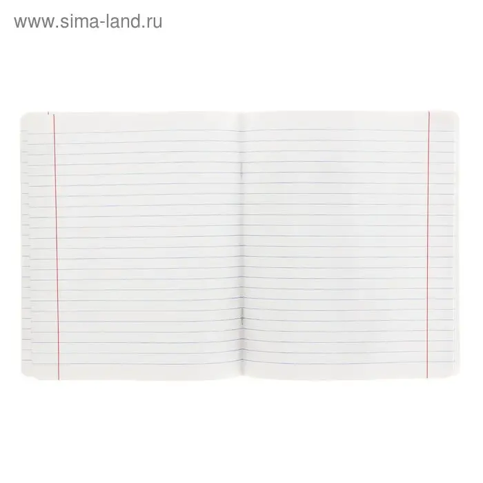 Тетрадь 18 листов линейка «Великолепная пятёрка», бумажная обложка, МИКС Тетрадь 18 листов линейка «Великолепная пятёрка», бумажная обложка, МИКС