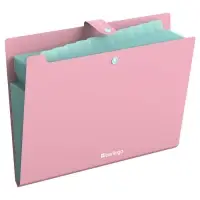 Папка А4, 12 отделений, Haze, 600 мкм, на кнопке, розовая