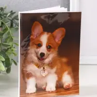 Фотоальбом 36 фото 10X15см, "Корги" ПП карм.,мягкая обложка