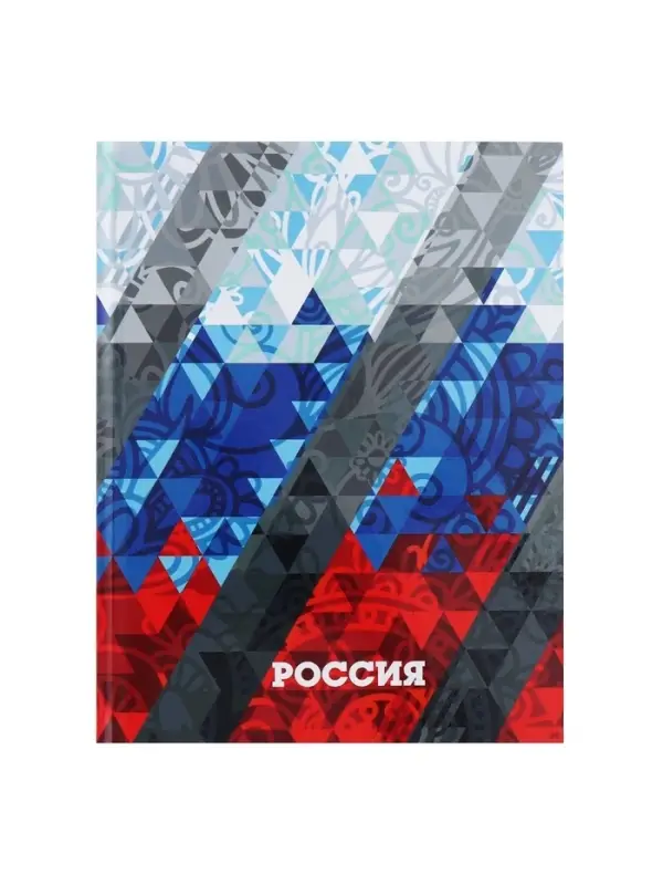 Дневник школьный для 1-11 классов, &laquo;Россия геометрия&raquo;, твёрдая обложка 7БЦ, глянцевая ламинация, 40 листов