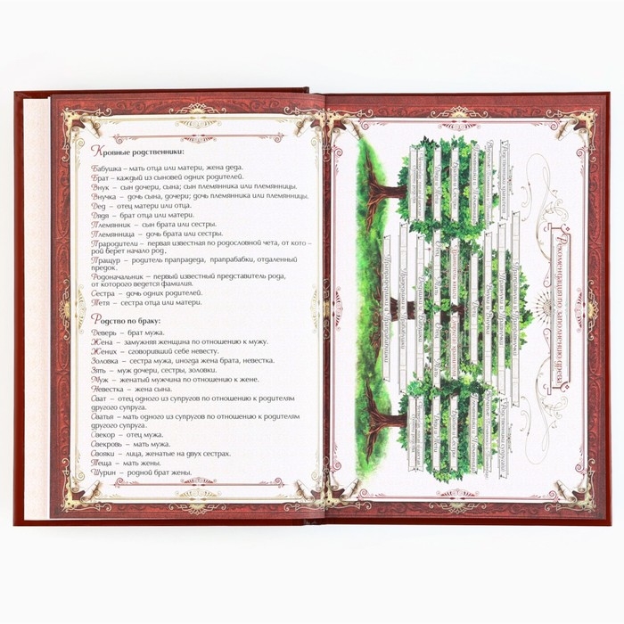 Родословная книга с новогодним пояском «Новый год: Каждый день», 16,5 х 24 см. Родословная книга с новогодним пояском «Новый год: Каждый день», 16,5 х 24 см.