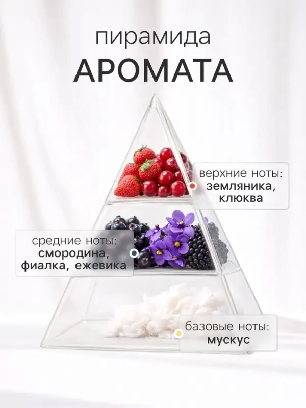Диффузор ароматический с палочками Nero Lyra, 50 мл