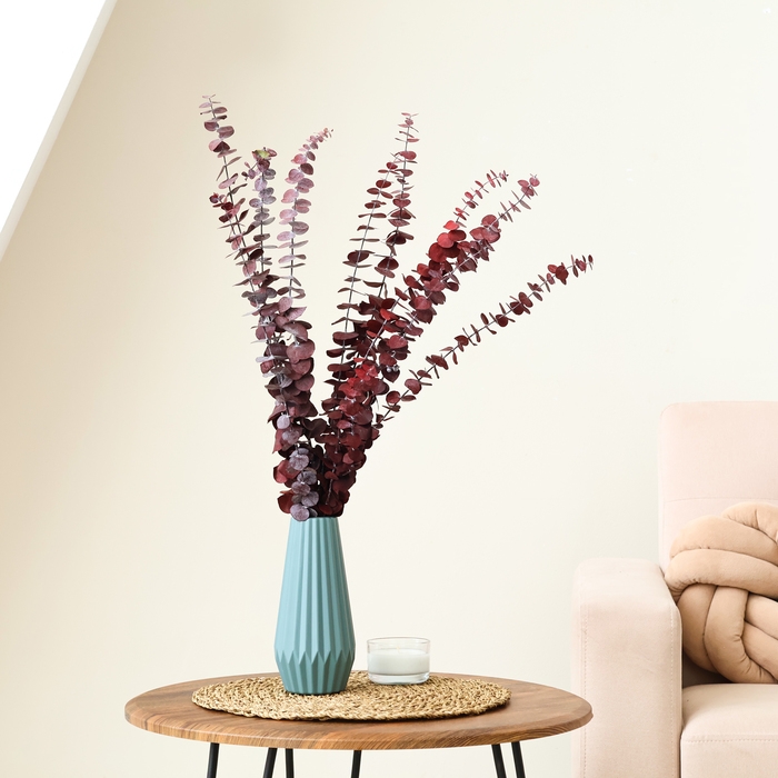 Сухоцвет «Эвкалиптовое дерево», красный, 10 шт. в упаковке Сухоцвет «Эвкалиптовое дерево», красный, 10 шт. в упаковке