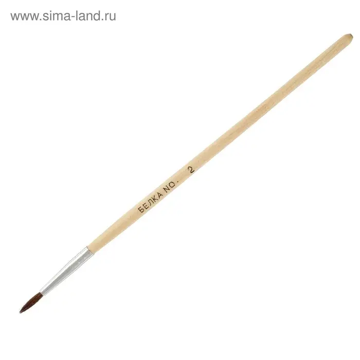 Набор кистей для рисования, белка, 5 штук: № 1, 2, 3, 4, 5, круглые, деревянная ручка, международный размер