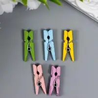 Набор декоративных мини-прищепок Mr.Painter "Пастельноке ассорти" 25 шт Набор декоративных мини-прищепок Mr.Painter "Пастельноке ассорти" 25 шт