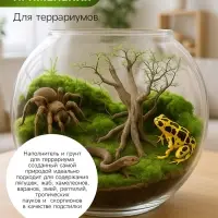 Мох сфагнум для террариумов &laquo;Рецепты дедушки Никиты&raquo; 3 л