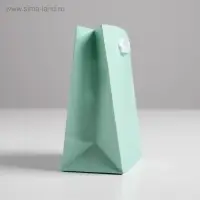 Пакет подарочный, упаковка, &laquo;Мятный&raquo;, 12&times;15&times;5.5