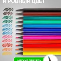 Карандаши Calligrata цветные заточенные, 12 цветов, пластиковые, в картонной коробке