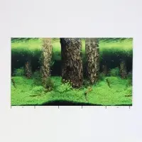 Фон для аквариума двухсторонний, 30&times;50 см
