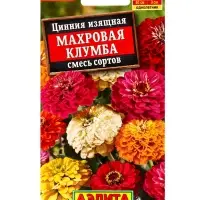 Семена цветов Цинния Махровая клумба, смесь сортов , Ц/П,12 шт. Семена цветов Цинния Махровая клумба, смесь сортов , Ц/П,12 шт.