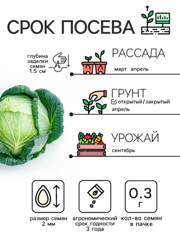 Семена Капуста белокочанная &laquo;Июньская&raquo;, 0.5 г, скороспелая, &laquo;Рецепты дедушки Никиты&raquo;