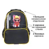 Рюкзак школьный, эргономичная спинка, 37&times;26&times;13 см &laquo;Крутой кот&raquo;