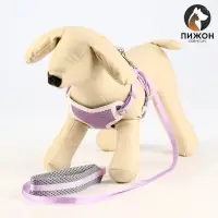 Комплект амуниции с мягкой шлейкой, S, поводок 120&times;1 см, ОШ 20-35 см, ОГ 20-35 см, сиреневый