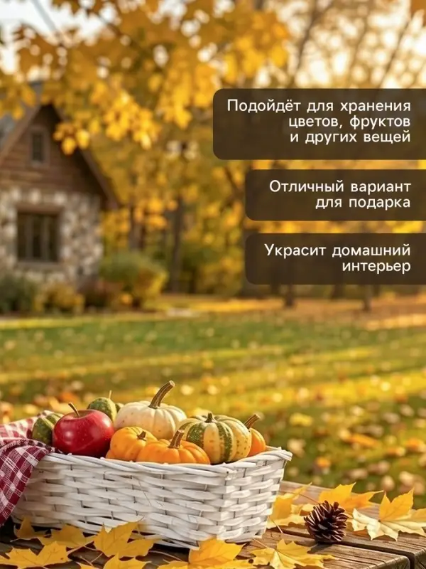 Корзина плетёная для хранения, 37&times;15&times;10 см, лоза, белая