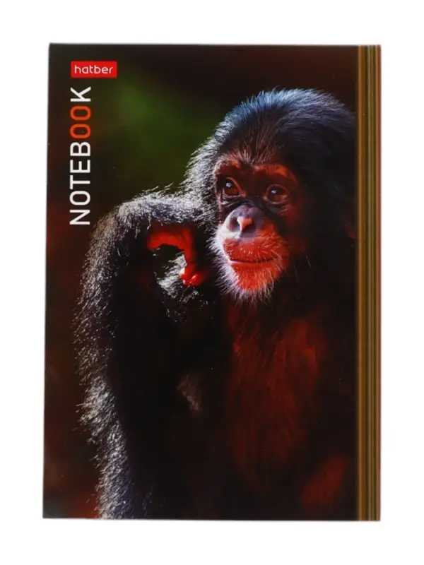 Блокнот А6 24 листа в клетку, на скобе &laquo;В мире животных&raquo;, МИКС