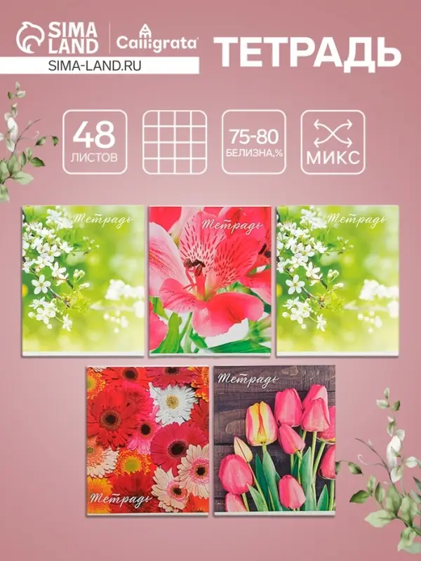 Тетрадь 48 листов в клетку Calligrata «Цветы», обложка мелованная бумага, блок №2, белизна 75% (серые листы), МИКС