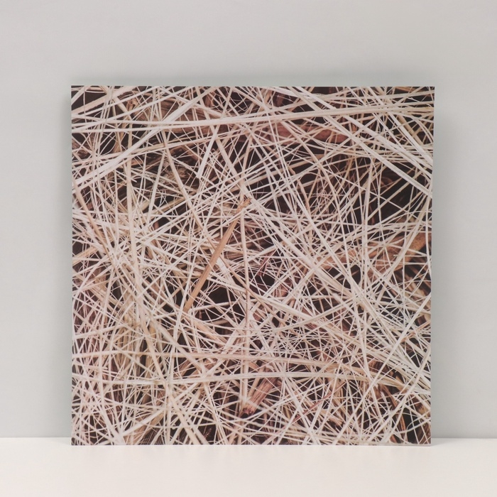 Фотофон двусторонний картон плотность 350 гр Фотофон двусторонний картон плотность 350 гр "Сено и трава" 50х50 см