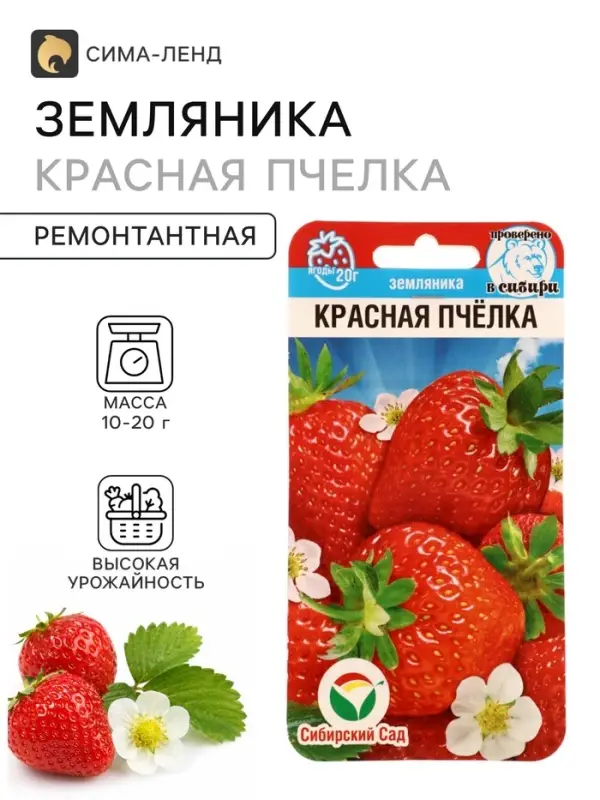 Семена Земляника &laquo;Красная пчелка&raquo;, 10 шт., &laquo;Сибирский сад&raquo;