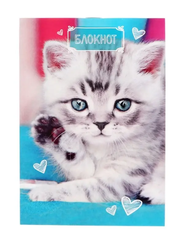 Набор блокнотов А6 24л кл на скобе Котята, мел карт, 4В 20шт
