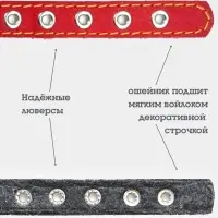 Ошейник, 35&times;1.5 см, подклад из ватина, кожа, красный