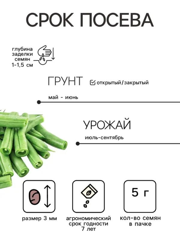 Семена Фасоль спаржевая &laquo;Масляный король&raquo;, 5 г, &laquo;Русский огород&raquo;