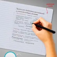 Тетради 10 штук, 12 листов в линию Calligrata &laquo;Пушистые друзья&raquo;, обложка мелованный картон, блок офсет, 5 видов по 2 штуки