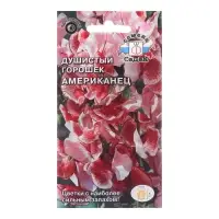 Семена цветов Душистый Горошек "Американец", Семена цветов Душистый Горошек "Американец",