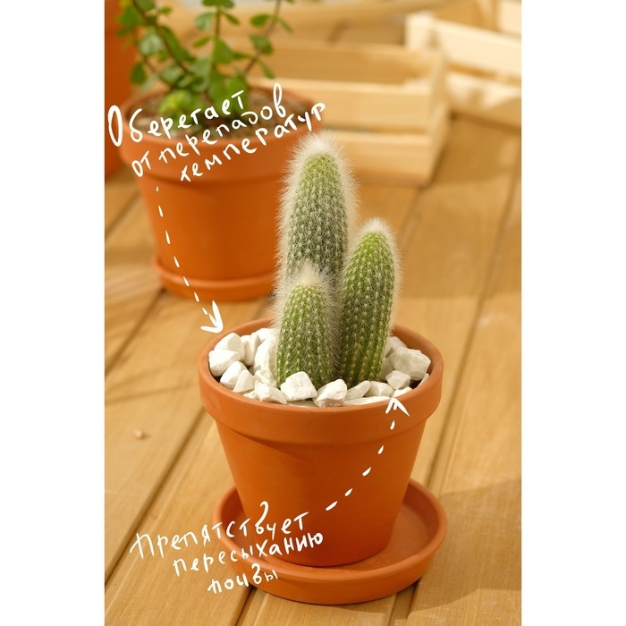 Мраморная крошка  Мраморная крошка "Рецепты Дедушки Никиты", отборная, белая, фр 10-20 мм , 1 кг