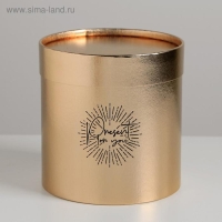 Коробка подарочная шляпная, упаковка, «Present for you», золотая, 15 х 15 х 15 см