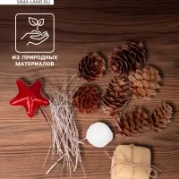 Новогодний декор &laquo;Незабываемый праздник&raquo;, размер шишек: 1.5&times;2 см