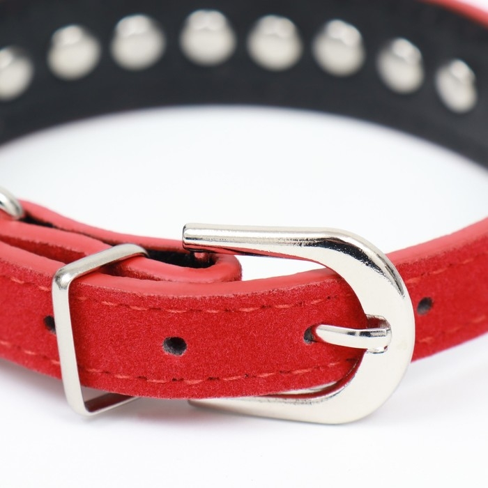 Ошейник  Ошейник "Бархат и стразы", 31 х 1,3/2 см, ОШ 22-28 см, красный