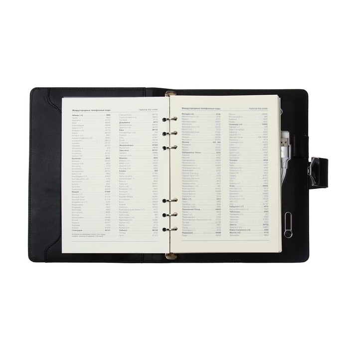 Органайзер на кольцах,ПВХ, А5,140 л,клетка,с ручкой,подар короб,сканер пальца,зарядка,Черный Органайзер на кольцах,ПВХ, А5,140 л,клетка,с ручкой,подар короб,сканер пальца,зарядка,Черный