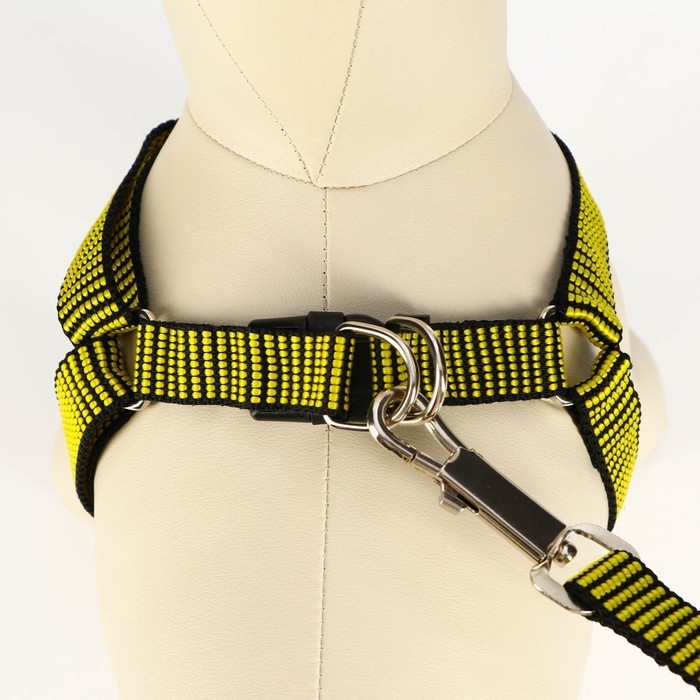 Комплект амуниции рельефный, поводок 120 х 2 см, ОГ 44-50 см, жёлто-чёрный Комплект амуниции рельефный, поводок 120 х 2 см, ОГ 44-50 см, жёлто-чёрный