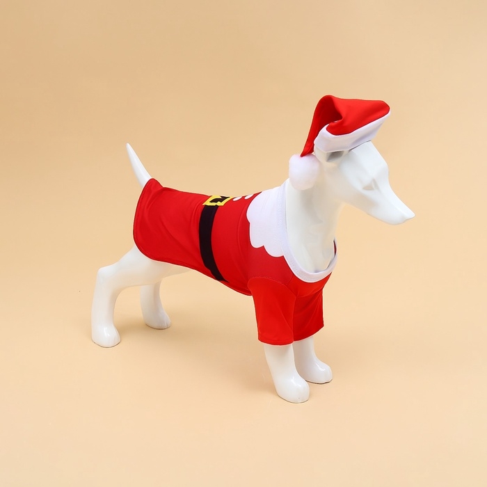 Новый год. Толстовка с колпаком Santa, S (ДС 25, ОГ 35 см) Новый год. Толстовка с колпаком Santa, S (ДС 25, ОГ 35 см)