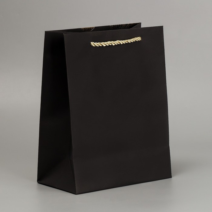 Пакет подарочный, упаковка, «Поздравляю», чёрный крафт, 18 х 23 х 10 см