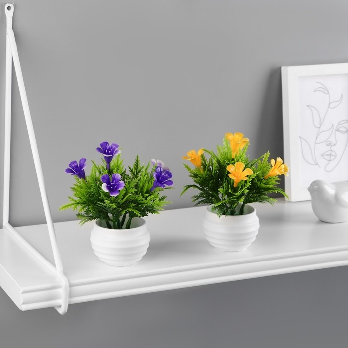 Бонсай в горшке Бонсай в горшке "Годеция монарх" 5,5х10 см, микс