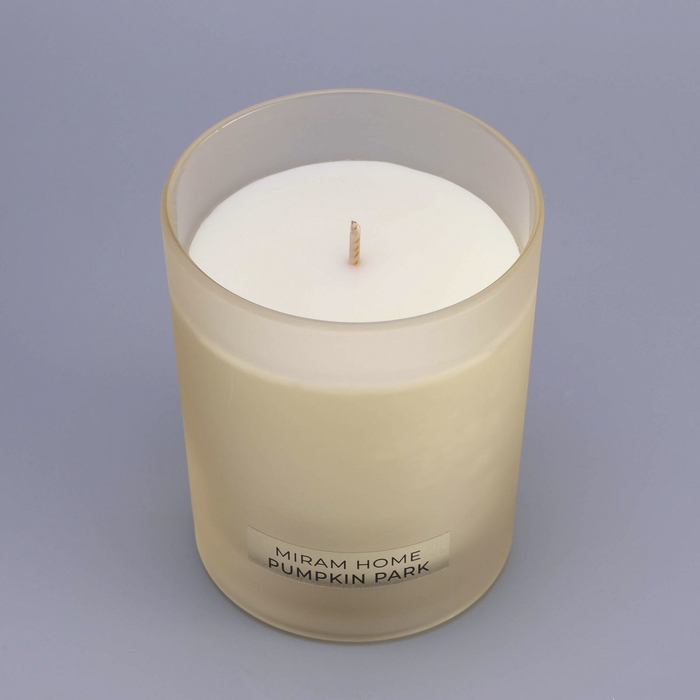 Свеча ароматическая в стекле  Свеча ароматическая в стекле "PUMPKIN PARK", тыква в карамели и апельсин, 200 г