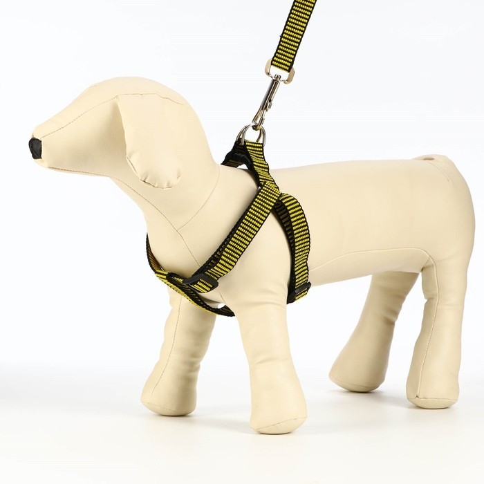 Комплект амуниции рельефный, поводок 120 х 2 см, ОГ 44-50 см, жёлто-чёрный Комплект амуниции рельефный, поводок 120 х 2 см, ОГ 44-50 см, жёлто-чёрный