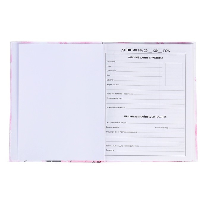 Дневник для 5-11 классов, "Стильная девочка", твердая обложка 7БЦ, глянцевая ламинация, 48 листов