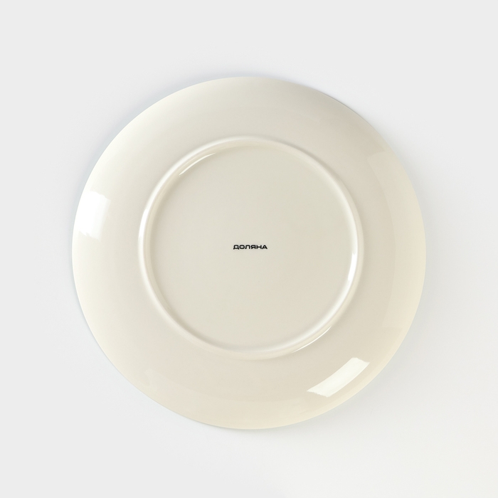 Тарелка керамическая «Пена», d=26,5 см Тарелка керамическая «Пена», d=26,5 см