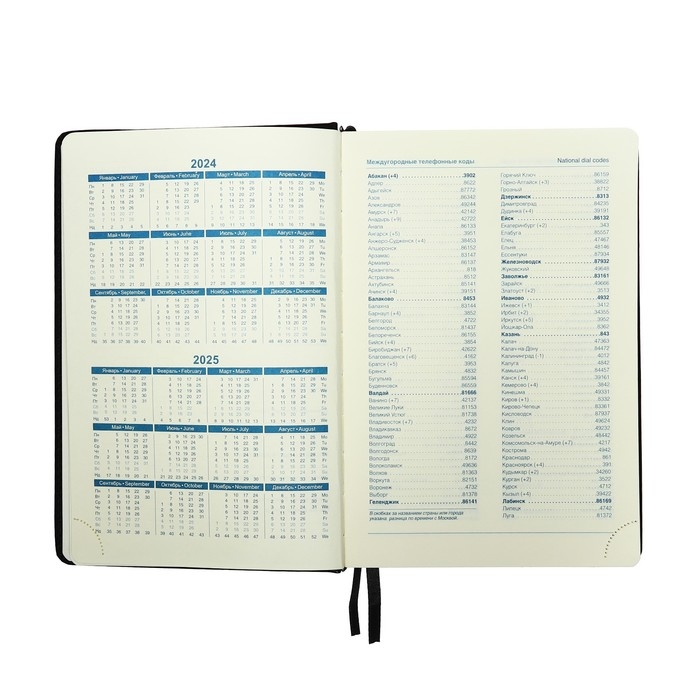 Ежедневник датированный 2025 года, A5, 168 листов в линейку, кожзам  Ежедневник датированный 2025 года, A5, 168 листов в линейку, кожзам "Небраска", золотой срез, черный