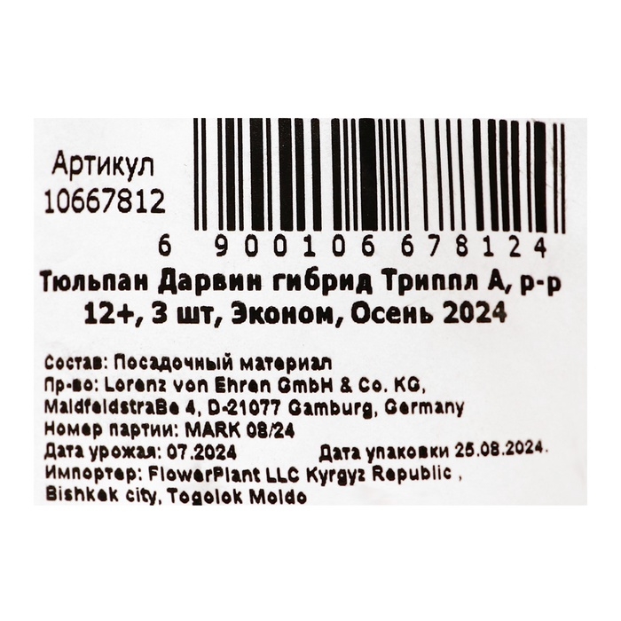 Тюльпан Дарвин гибрид Триппл А, р-р 12+, 3 шт, Эконом, Осень 2024 Тюльпан Дарвин гибрид Триппл А, р-р 12+, 3 шт, Эконом, Осень 2024