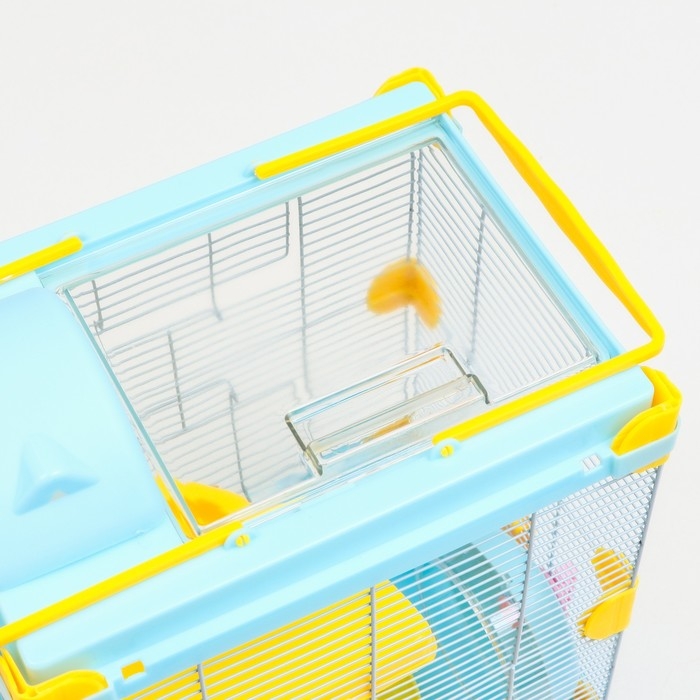 Клетка для грызунов Клетка для грызунов "Пижон", 31 х 24 х 46 см, голубая